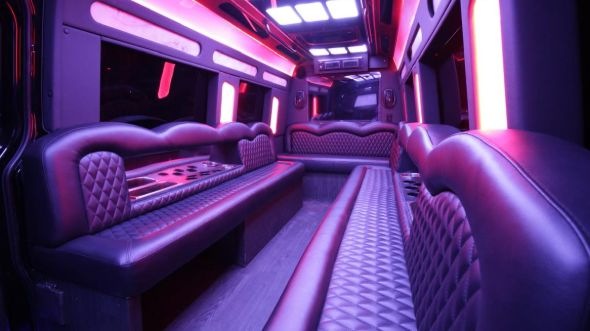 cypress sprinter limo rental inside